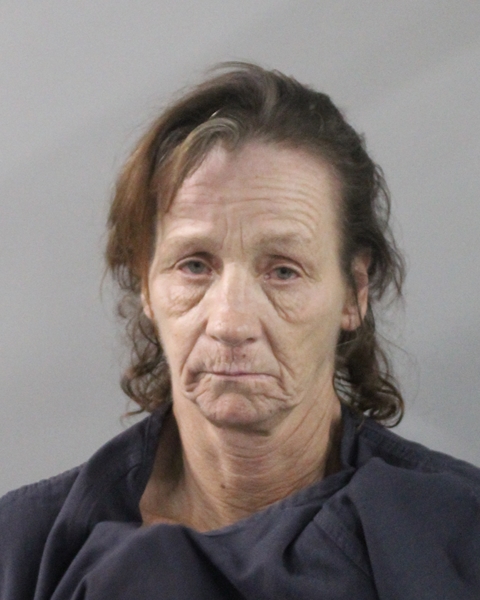 Booking photo of Teresa Boyce
