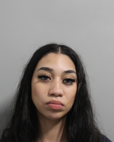 Karen Diaz booking photo