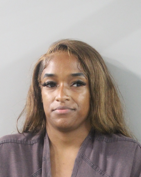 Booking photo of Ayhanna Moody