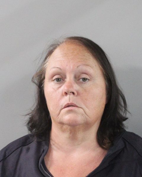 Booking photo of Julie Fuller