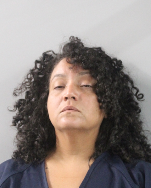 Booking photo of Gloribel Torres-rosa