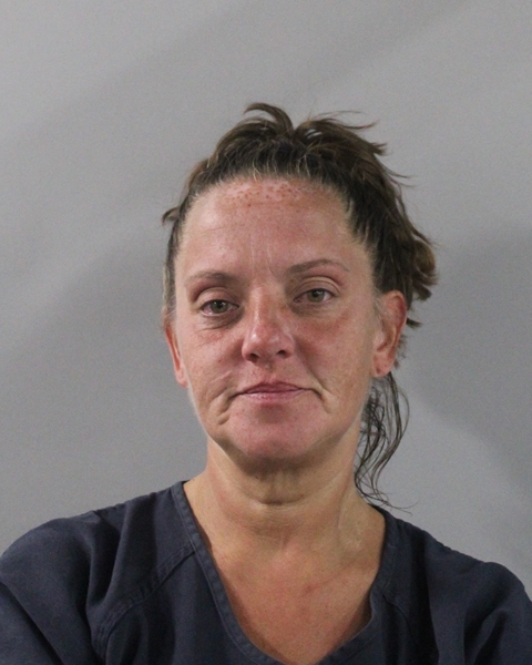 Booking photo of Michelle Cummings