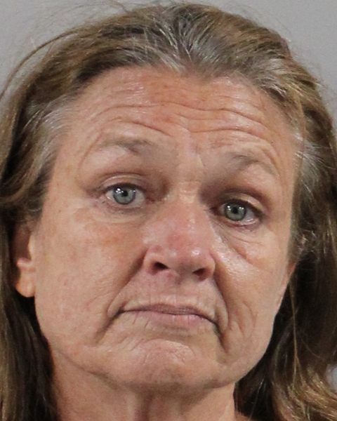 Booking photo of Lisa Boggs