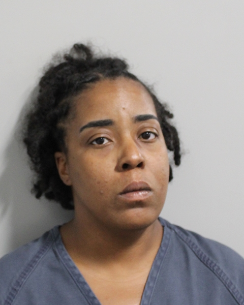 Booking photo of Ashley Pride