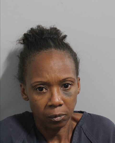Tami Culbreath booking photo