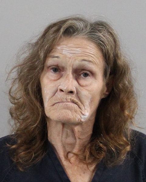 Booking photo of Diana Boyle