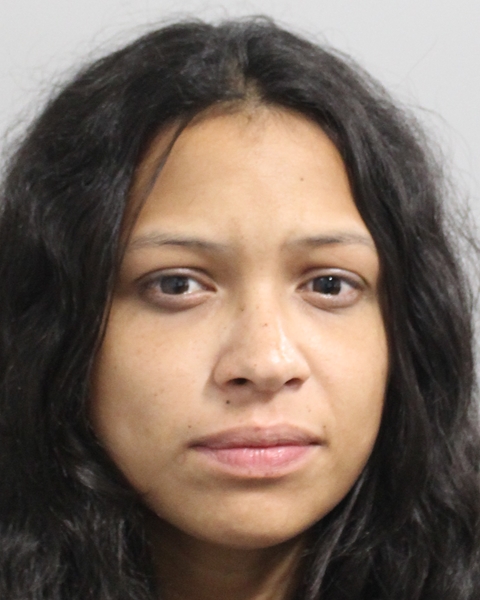Booking photo of Andrea Wilkinson