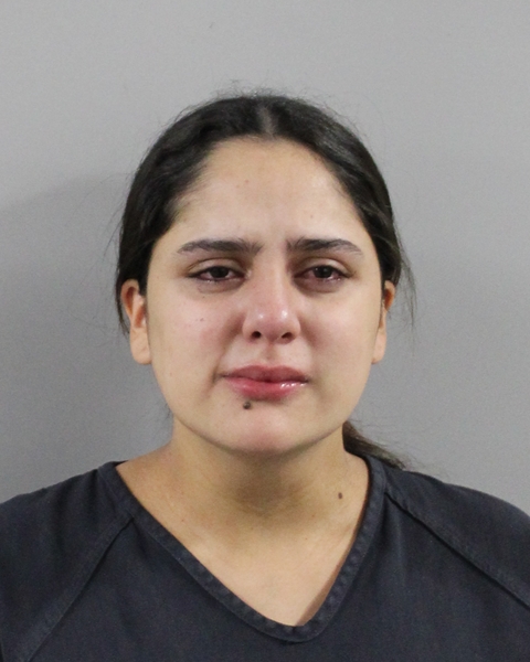 Booking photo of Karen Cuervo Scalante