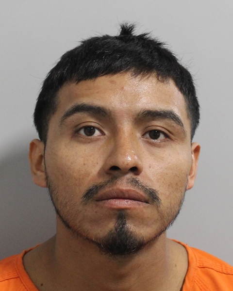 Booking photo of Eryk Pascual