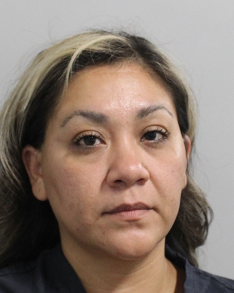 Booking photo of Mariela Duque