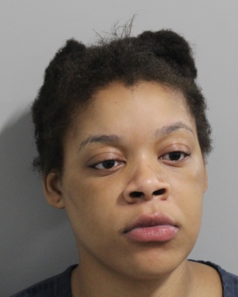 Booking photo of Qunterica Johnson