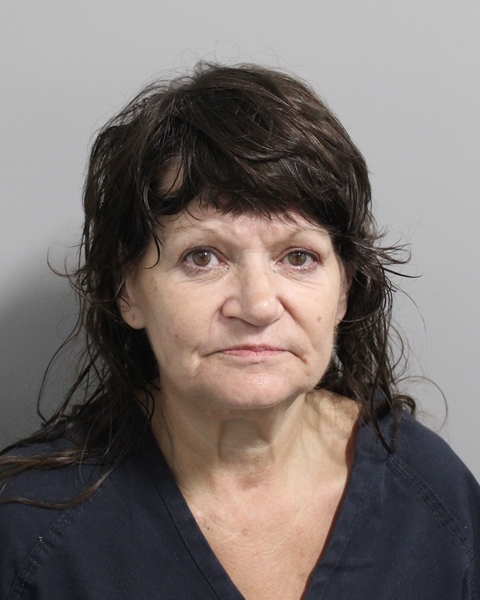 Booking photo of Anita Stout