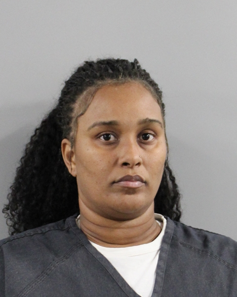 Booking photo of Ferin Bellamy