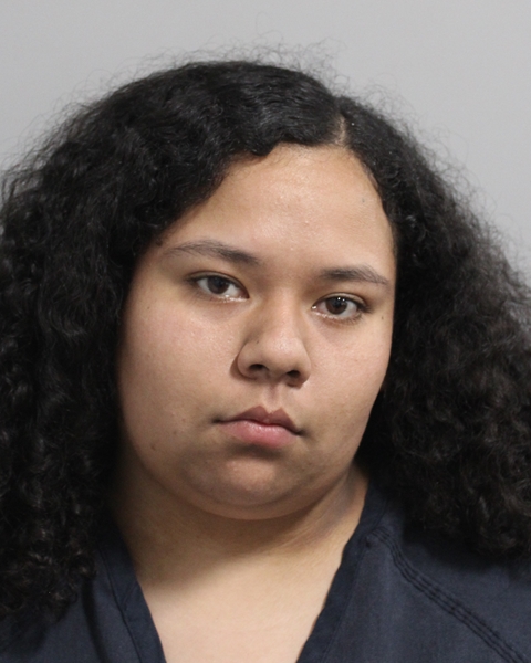 Dulce Palomar-santiago booking photo