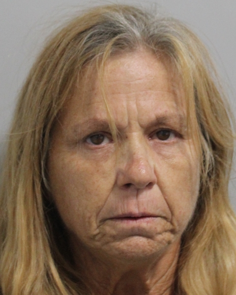 Booking photo of Julie Berns