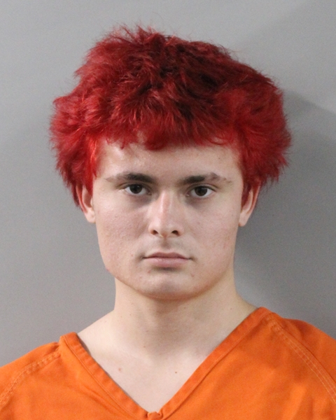 Booking photo of Aiden Roman