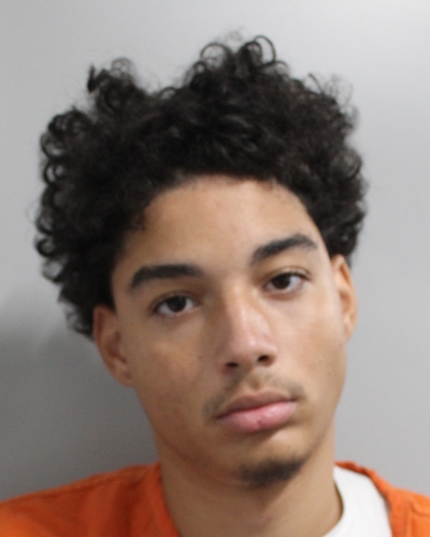 Booking photo of Julian Link