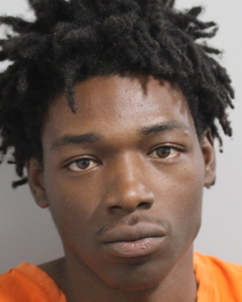 Treyvon Richardson booking photo
