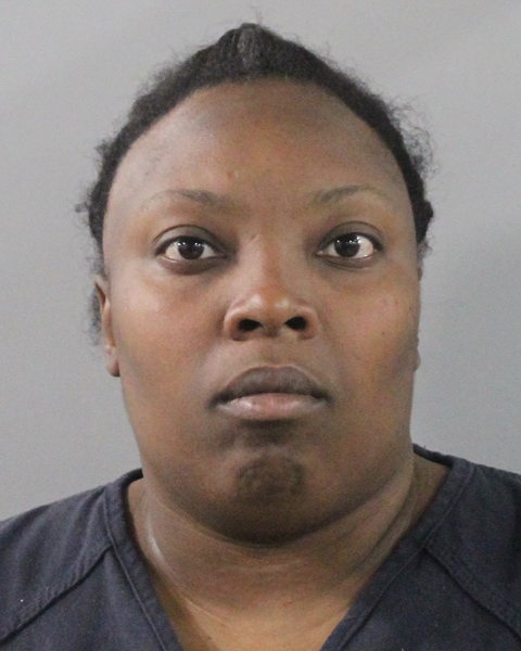 Tawanda Ellison booking photo