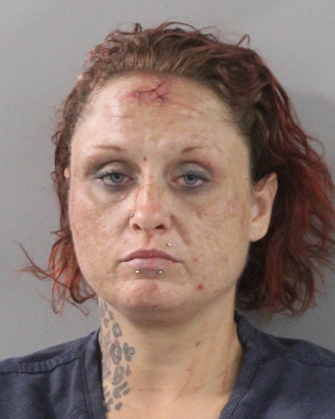 Booking photo of Janelle Prochazka