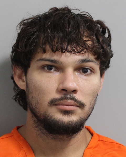 Booking photo of Eliud Villalto