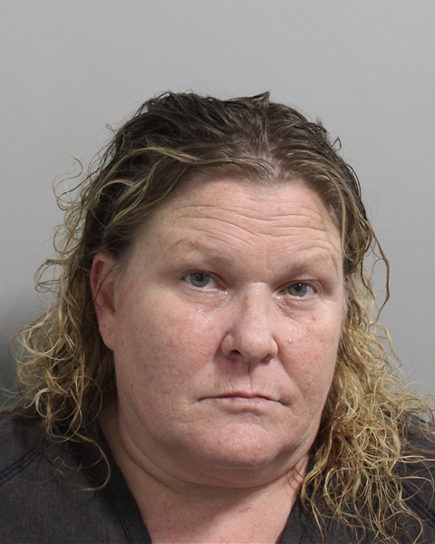 Crystal Metheney booking photo