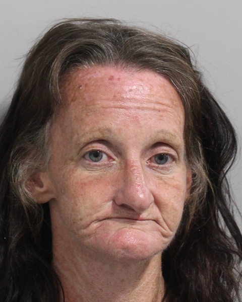 Booking photo of Tasha Dagostino