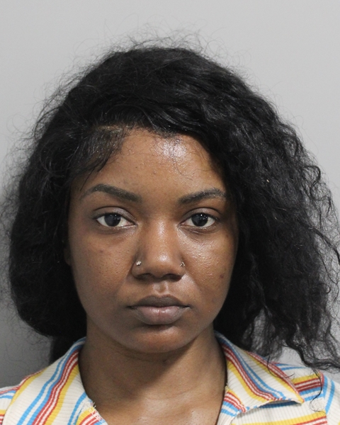 Booking photo of Fanidca Luma