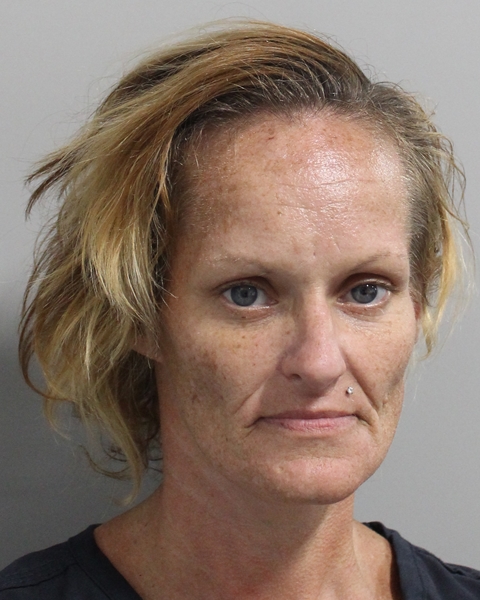 Booking photo of Heather Williams