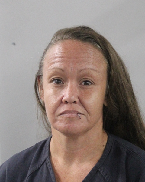 Booking photo of Cynthia Johnson