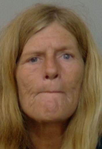 Booking photo of Ladonna Lewis