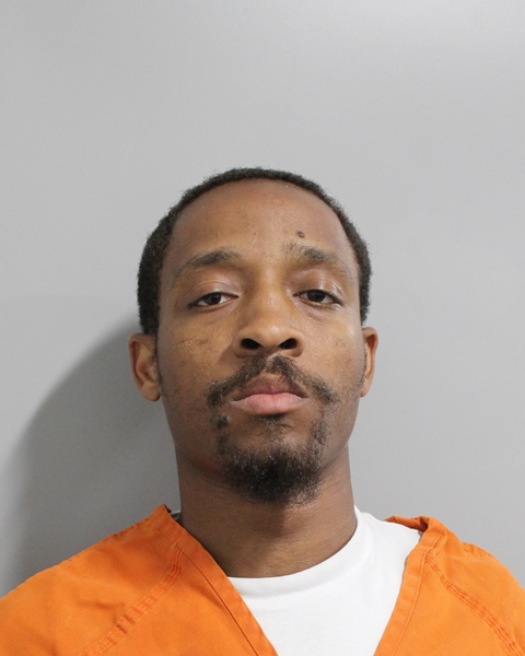 Booking photo of Gemini Williams