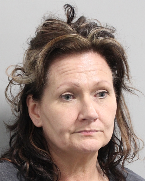 Booking photo of Brandy Wilson