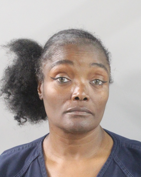 Booking photo of Mary Johnson