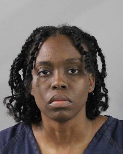 Booking photo of Vienna Fernandez