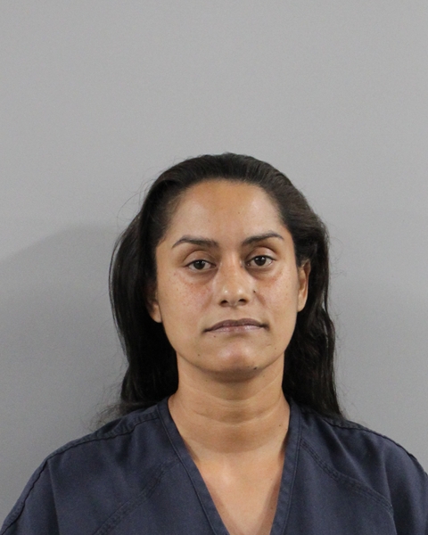 Booking photo of Jessenia Freire Rivera