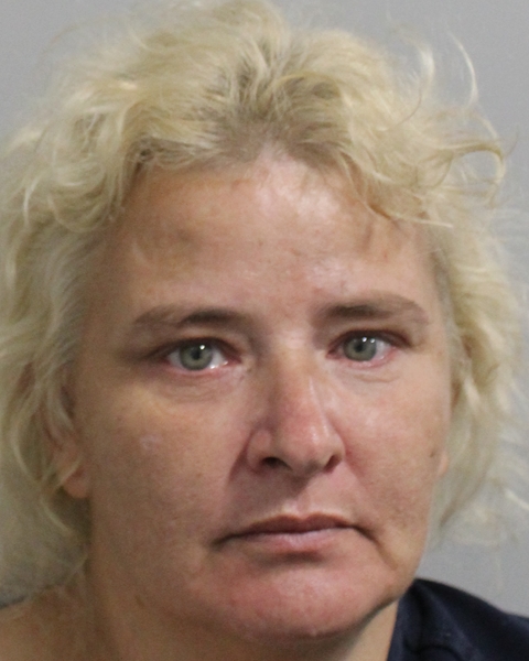 Booking photo of Amanda Hayes