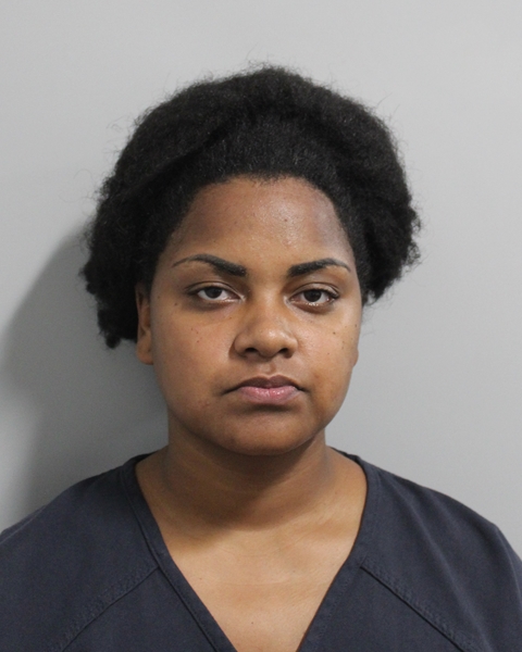 Booking photo of Sanbria Hooks