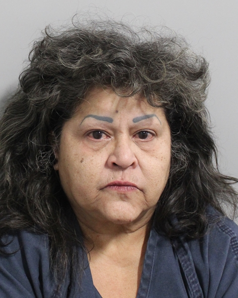 Booking photo of Apolonia Vargas
