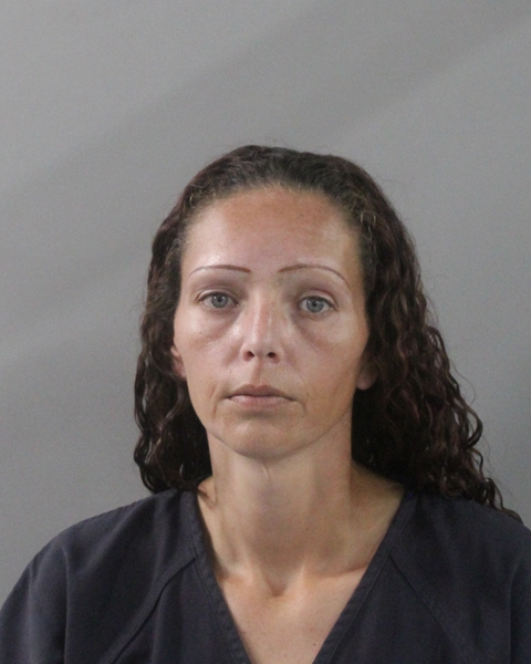 Booking photo of Megan Barnett