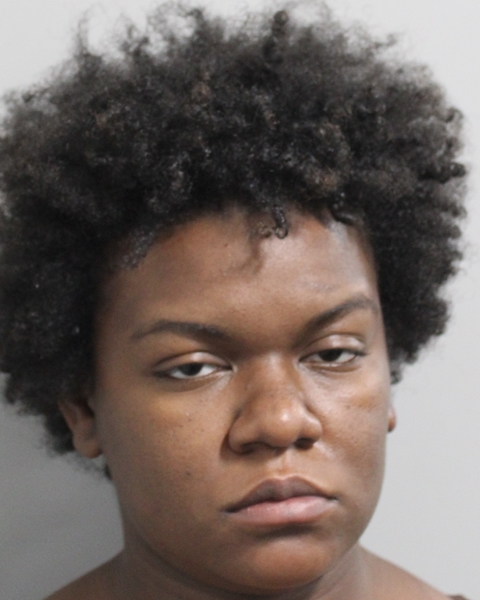 Booking photo of Jaipur Horton