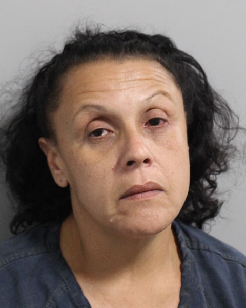 Booking photo of Cynthia Roldan