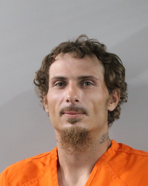 Booking photo of Brian George