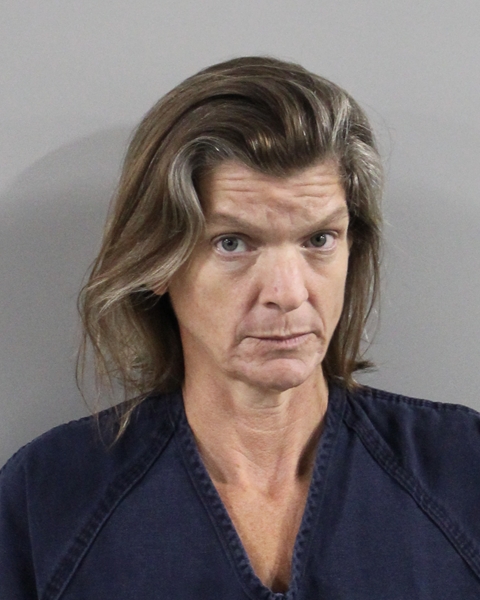 Booking photo of Heather Welsh