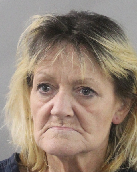 Booking photo of Lisa Vines