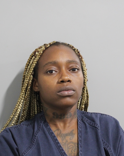 Booking photo of Christy Louis-jean