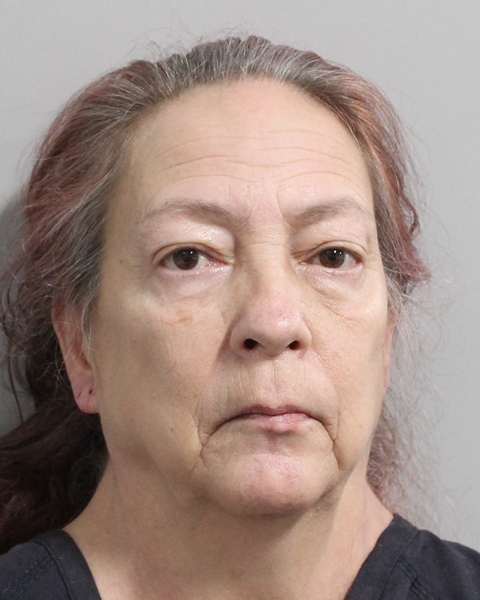 Booking photo of Melissa Martin