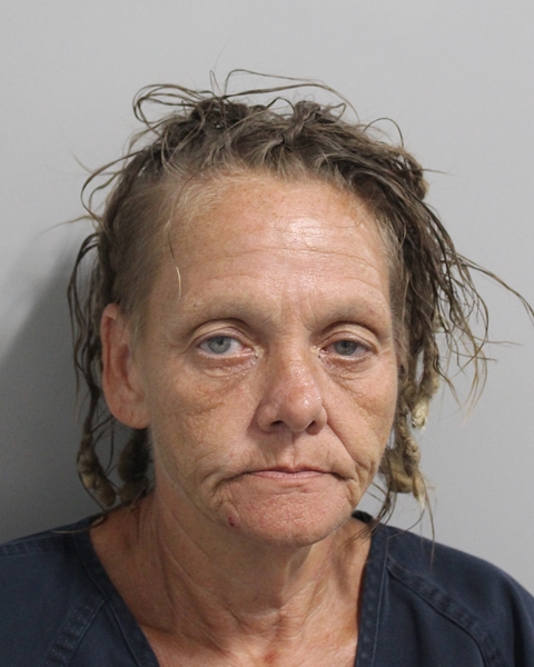 Booking photo of Michelle Thompson