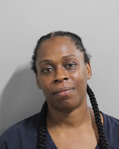 Booking photo of Jerica Davis