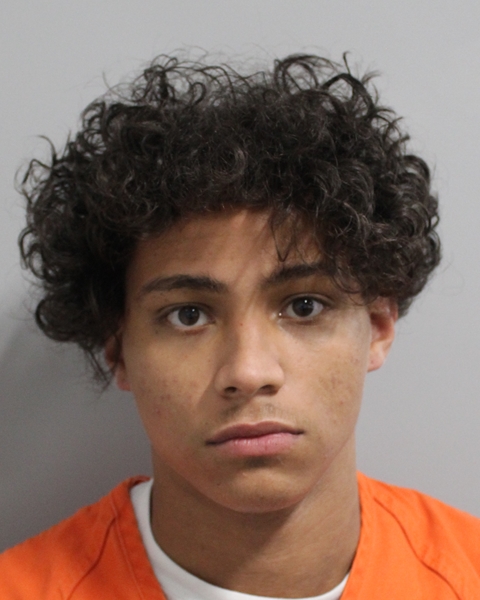 Booking photo of Yatdiel Nunez Viera